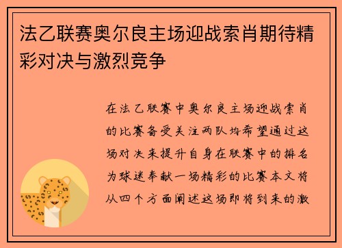 法乙联赛奥尔良主场迎战索肖期待精彩对决与激烈竞争